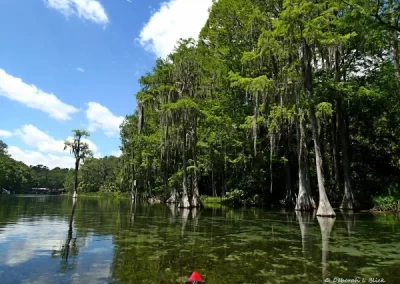 Outstanding Home Rental Agency