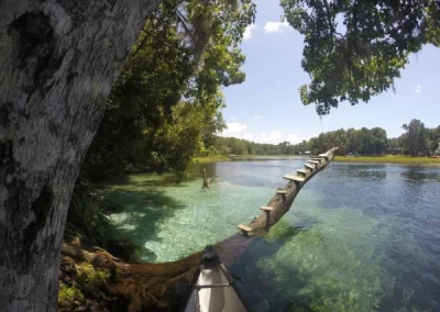 Professional Vacation Home Rental